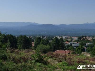 Pinares de la Angostura en Piedralaves;charca verde pedriza rutas a pie por madrid